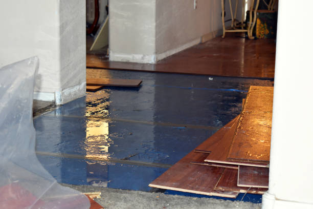 Professional Flood Cleanup technician working in Springport, IN